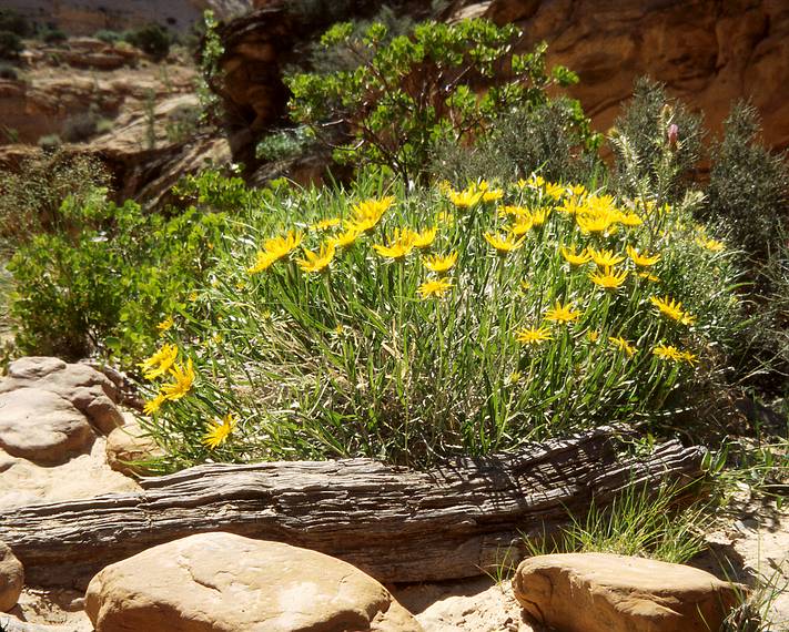 May 25, 2008 - Hike in Capitol Gorge, Capitol Reef National Park, Utah