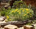 May 25, 2008 - Hike in Capitol Gorge, Capitol Reef National Park, Utah