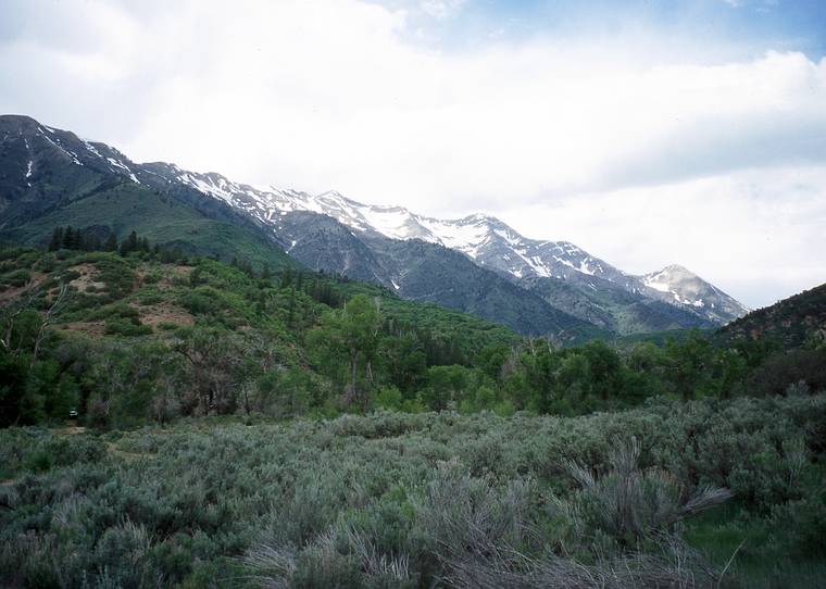 May 25, 2008 - Mount Nebo Scenic Byway (FR-015), Uinta National Forest, Utah.<br />Southernost Wasatch Range with Mount Nebo as the highest peak