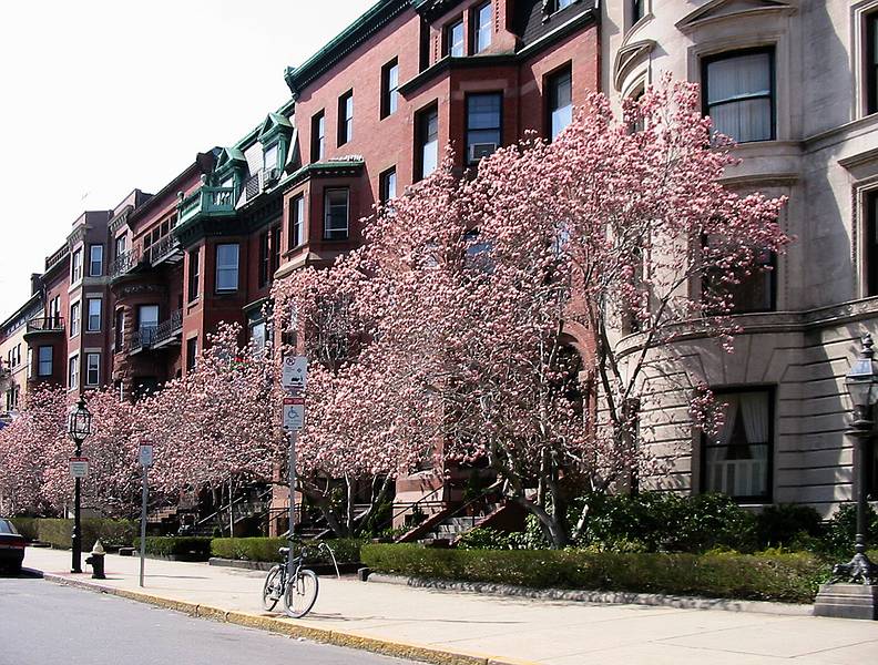 April 7, 2002 - Boston, Massachusetts.<br />Along Commonwealth Avenue.<br />(Detour on way to opera.)