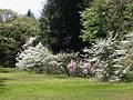 May 11, 2002 - Maudslay State Park, Newburyport, MA.