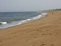 May 27, 2002 - Northern end of Plum Island, Newburyport, MA.