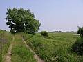 June 11, 2002 -  Parker River National Wildlife Refuge.<br />Nelson Island, Rowley, Massachusetts.