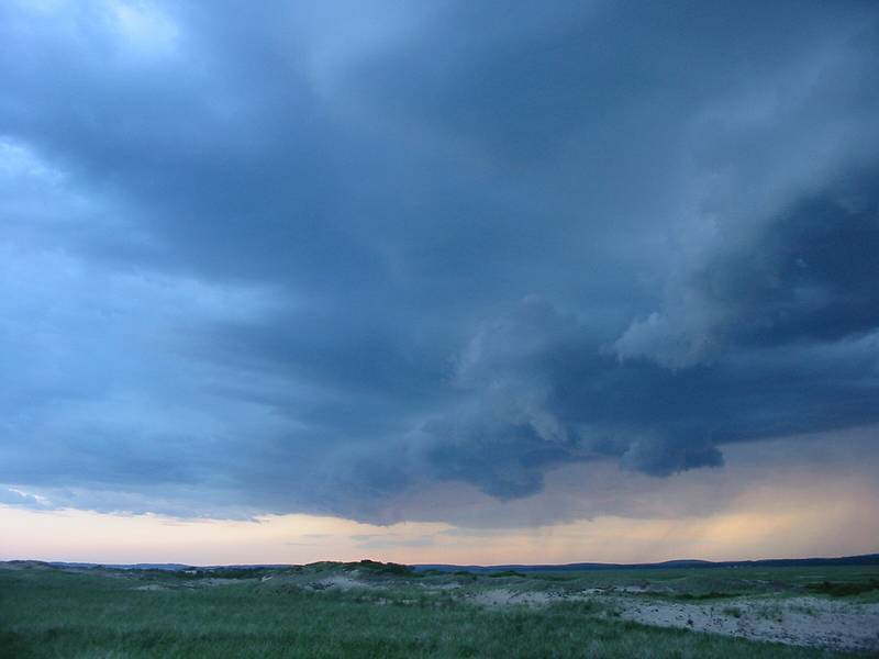 June 17, 2002 - Parker River National Wildlife Refuge, Newburyport, Massachusetts.