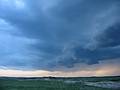 June 17, 2002 - Parker River National Wildlife Refuge, Newburyport, Massachusetts.