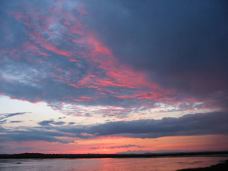 June 17, 2002 - Parker River National Wildlife Refuge, Newburyport, Massachusetts.