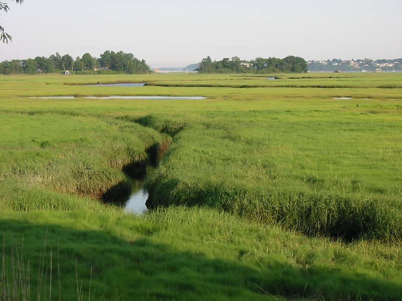 June 29, 2002 - Nelson Island part of Parker River National Wildlife Refuge, Massachusetts.