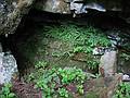 July 13, 2002 - AuSable, New York.<br />The AuSable Chasm.