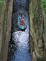July 13, 2002 - AuSable, New York.<br />The AuSable Chasm.