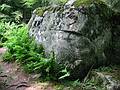 July 18, 2002 - Castle Rock Mountain, Blue Mountain Lake, New York.<br />Along the long trail down.