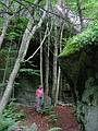 July 18, 2002 - Castle Rock Mountain, Blue Mountain Lake, New York.<br />Joyce.