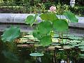 July 20, 2002 - Yaddo Gardens, Saratoga Springs, New York.