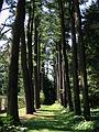 July 20, 2002 - Yaddo Gardens, Saratoga Springs, New York.
