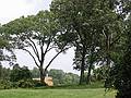 July 21, 2002 - Storm King Arts Center, Mountainville, New York.<br />Alice Aycock's "Three-Fold Manifestation II", 1987, in the distance.