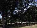 Aug 9, 2002 - Arlington National Cemetery, Arlington, Virginia.<br />View from atop the Women in Military Service for America Memorial.