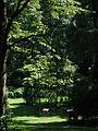 Aug 10, 2002 - Evergreen House, Charles Street, Baltimore, Maryland.<br />Brece V. Honeycutt, "Silence".