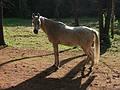 Aug 22, 2002 - Merrimac, Massachusetts.<br />King's Grant Farm on Church Street.