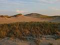 Sept 10, 2002 - Parker River National Wildlife Refuge, Plum Island, Massachusetts.<br />View from parking lot 3 boardwalk.