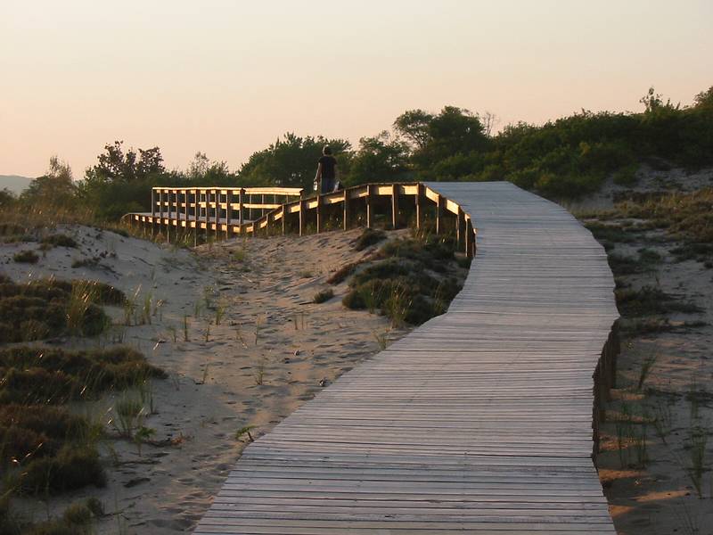 Sept 10, 2002 - Parker River National Wildlife Refuge, Plum Island, Massachusetts.<br />Boardwalk to parking lot 3 (with Joyce ahead).
