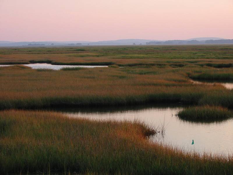 Sept 10, 2002 - Parker River National Wildlife Refuge, Plum Island, Massachusetts.<br />View from road across parking lot 3.