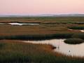 Sept 10, 2002 - Parker River National Wildlife Refuge, Plum Island, Massachusetts.<br />View from road across parking lot 3.