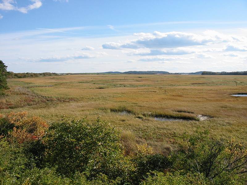 Oct 20, 2002 - Parker River National Wildlife Refuge, Plum Island, Massachusetts.<br />Pines Trail Area.