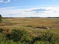 Oct 20, 2002 - Parker River National Wildlife Refuge, Plum Island, Massachusetts.<br />Pines Trail Area.