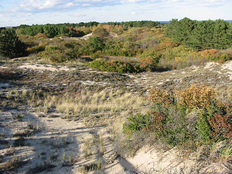 Oct 20, 2002 - Parker River National Wildlife Refuge, Plum Island, Massachusetts.<br />Hellcat Wildlife Observation Area.<br />View from boardwalk among dunes on the beach side.