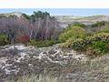 Oct 20, 2002 - Parker River National Wildlife Refuge, Plum Island, Massachusetts.<br />Hellcat Wildlife Observation Area.<br />View from boardwalk among dunes on the beach side.