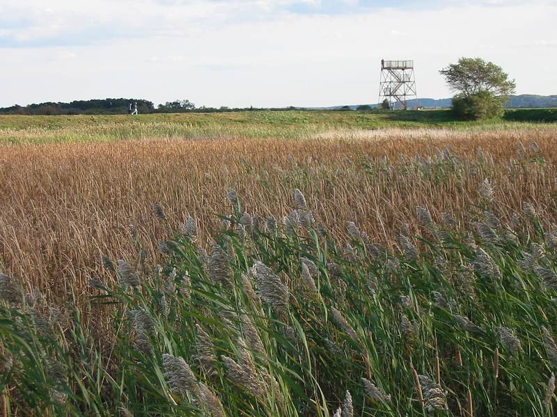 Oct 20, 2002 - Parker River National Wildlife Refuge, Plum Island, Massachusetts.<br />Hellcat Wildlife Observation Area.<br />View from boardwalk to observation blind.