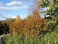 Oct 20, 2002 - Parker River National Wildlife Refuge, Plum Island, Massachusetts.<br />Hellcat Wildlife Observation Area.<br />View from boardwalk to observation blind.