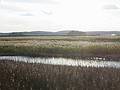 Oct 20, 2002 - Parker River National Wildlife Refuge, Plum Island, Massachusetts.<br />Hellcat Wildlife Observation Area.<br />View from boardwalk to observation blind.