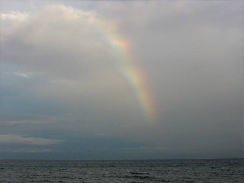 Nov. 11, 2002 - Off parking lot #3, Parker River National Wildlife Refuge, Plum Island, Massachusetts.