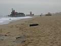 Dec 13, 2002 - Plum Island, Massachusetts.<br />Barge and its tugboat which were beeched the evening of Dec 11<br />after the tug boat lost control of the barge in the mouth of the Marrimac River.