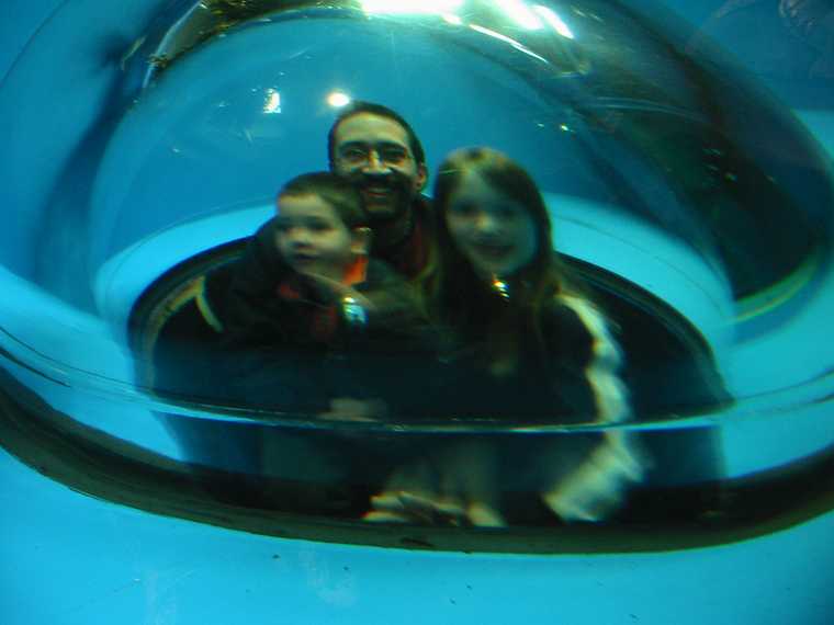 Jan 1, 2003 - New England Aquarium, Boston, Massachusetts.<br />Gujn, Eric, and Dagbjrt.