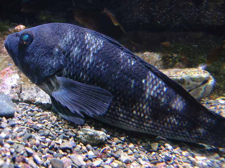 Jan 1, 2003 - New England Aquarium, Boston, Massachusetts