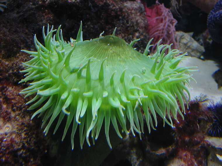 Jan 1, 2003 - New England Aquarium, Boston, Massachusetts