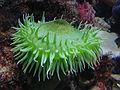Jan 1, 2003 - New England Aquarium, Boston, Massachusetts