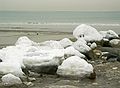 Jan 29, 2003 - Plum Island State Park, Massachusetts.