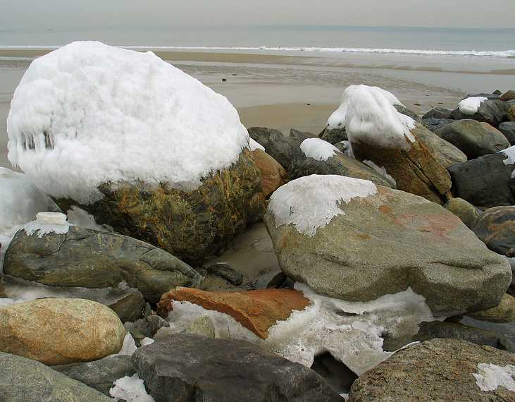 Jan 29, 2003 - Plum Island State Park, Massachusetts.