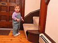 Feb 9, 2003 - Merrimac, Massachusetts.<br />Miranda about to climb the stairs.