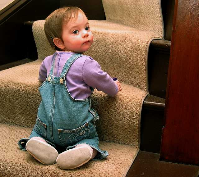 Feb 9, 2003 - Merrimac, Massachusetts.<br />Miranda with her newly discovered ability to climb stairs.
