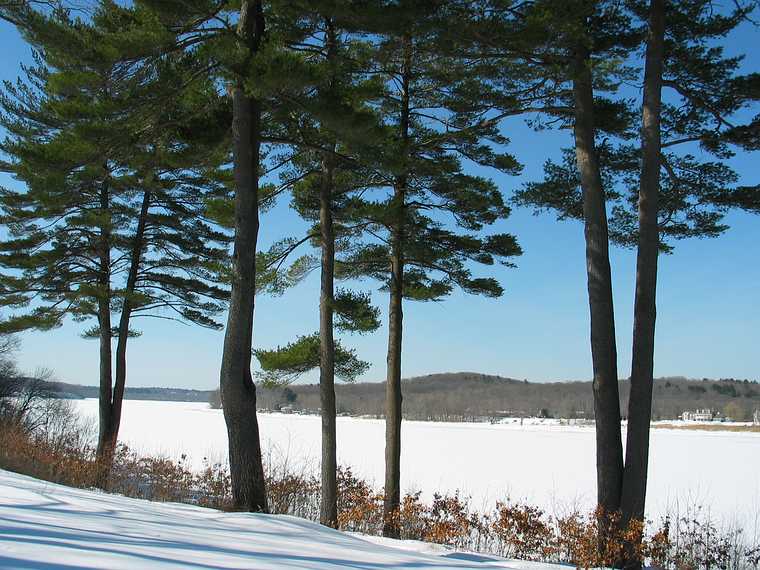Feb 21, 2003 - Maudslay State Park, Newburyport, Massachusetts.<br />The frozen Merrimack River.