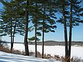 Feb 21, 2003 - Maudslay State Park, Newburyport, Massachusetts.<br />The frozen Merrimack River.