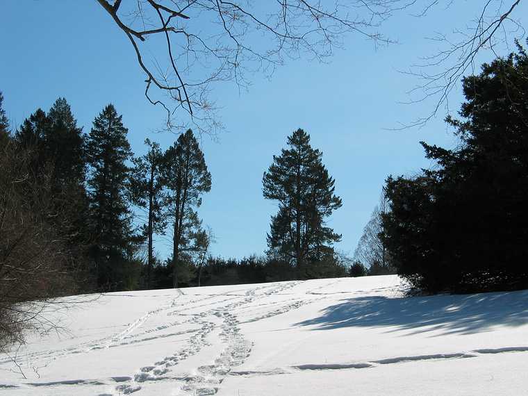 Feb 21, 2003 - Maudslay State Park, Newburyport, Massachusetts.