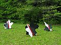 June 8, 2003 - Maudslay State Park, Newburyport, Massachusetts.<br />Carl and Egils' birthday celebration and the Maudslay Outdoor sculpture show.<br />Joyce's sculpture.