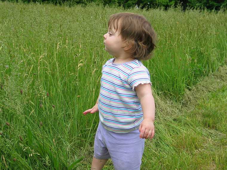 June 8, 2003 - Maudslay State Park, Newburyport, Massachusetts.<br />Carl and Egils' birthday celebration and the Maudslay Outdoor sculpture show.<br />Miranda trying to see her parents over the tall grass.