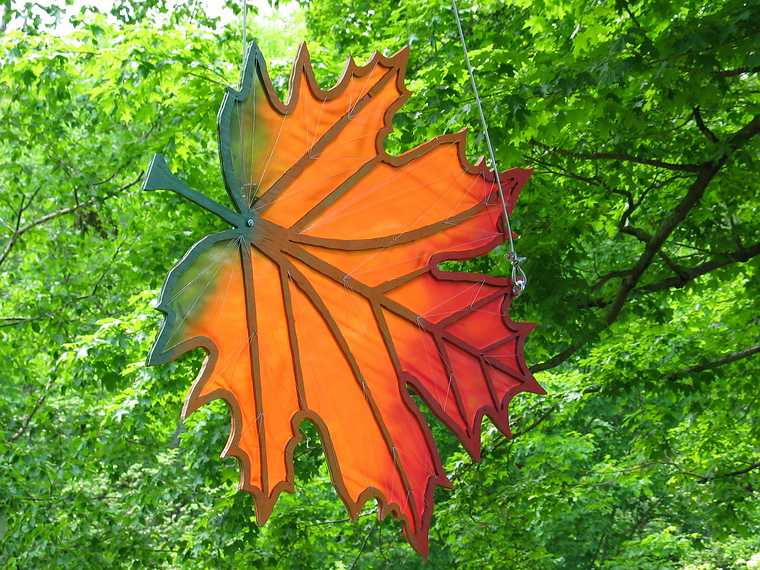 June 8, 2003 - Maudslay State Park, Newburyport, Massachusetts.<br />Carl and Egils' birthday celebration and the Maudslay Outdoor sculpture show.<br />A maple leaf.