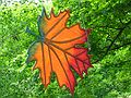 June 8, 2003 - Maudslay State Park, Newburyport, Massachusetts.<br />Carl and Egils' birthday celebration and the Maudslay Outdoor sculpture show.<br />A maple leaf.