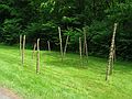 June 8, 2003 - Maudslay State Park, Newburyport, Massachusetts.<br />Carl and Egils' birthday celebration and the Maudslay Outdoor sculpture show.